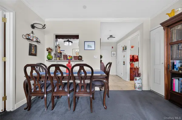 50 Merrick AVE #423, East Meadow, NY 11554