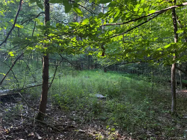 Hidden CT, Mount Tremper, NY 12457