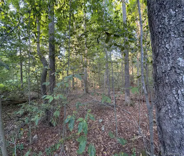 Hidden CT, Mount Tremper, NY 12457
