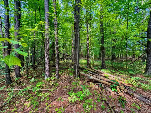 4480 State Route 23, Cairo, NY 12413