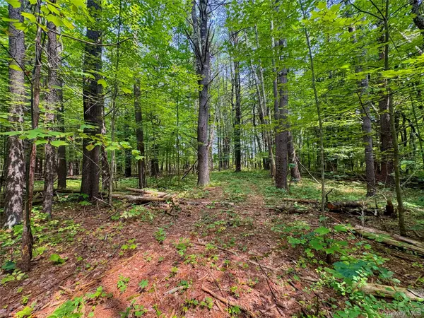 4480 State Route 23, Cairo, NY 12413