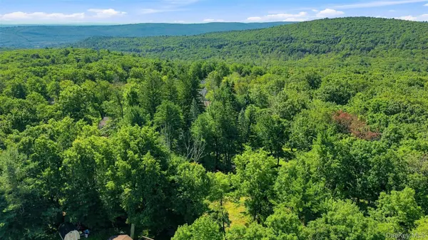 36 Spruce ST, Wurtsboro, NY 12790