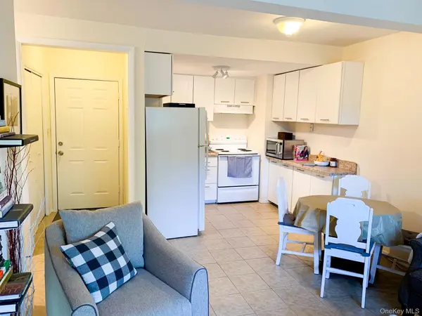 23 Pearl ST #8, Livingston Manor, NY 12758