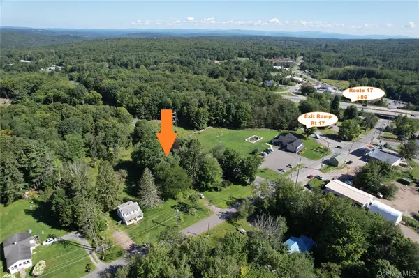 TBD Holiday Mountain TRL, Rock Hill, NY 12775