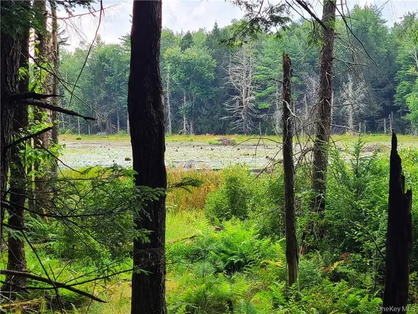 Lot 23 Deer Meadow RD, Bethel, NY 12720