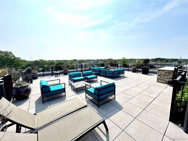 116 Searing AVE #PHN401, Mineola, NY 11501