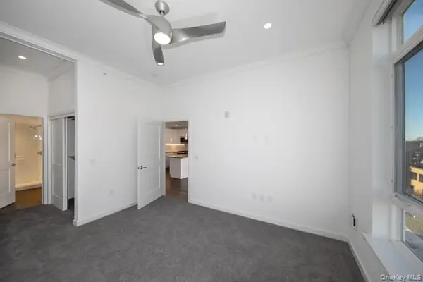 119 Searing AVE #PHS428, Mineola, NY 11501