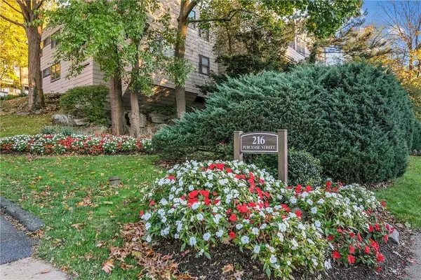 216 Purchase ST #M, Rye, NY 10580