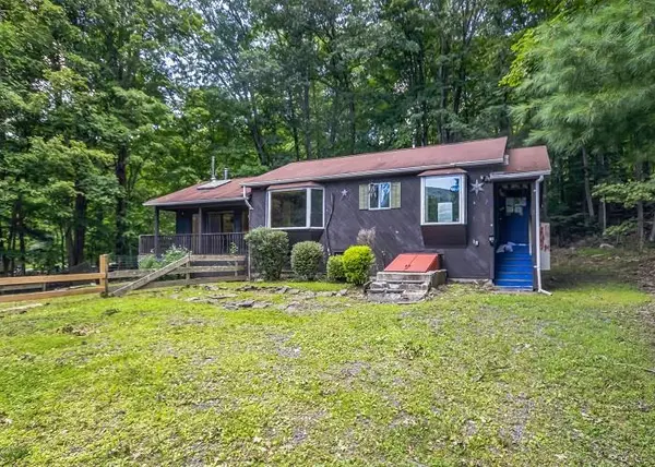 13 Rion RD,  Chichester,  NY 12416