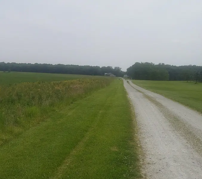 17022 Mount St Holtz RD, Lowell, IN 46356