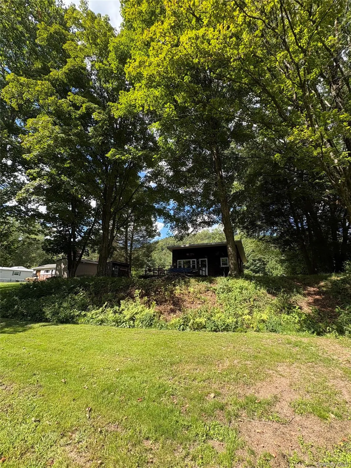 205 Long Flats RD, East Branch, NY 13756