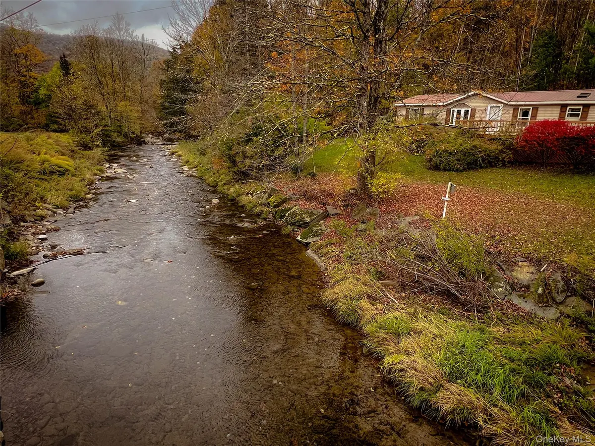 509 Burnwood RD, East Branch, NY 13756
