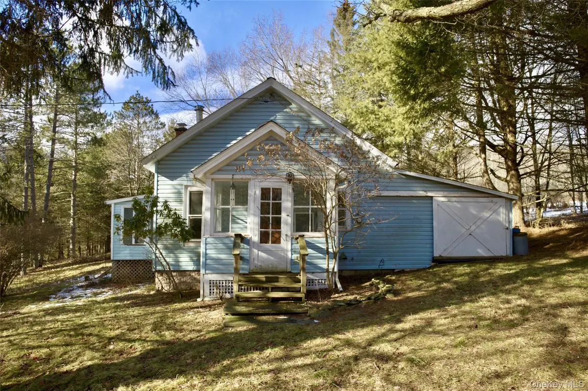 155 Lee Hollow RD, Delhi, NY 13753
