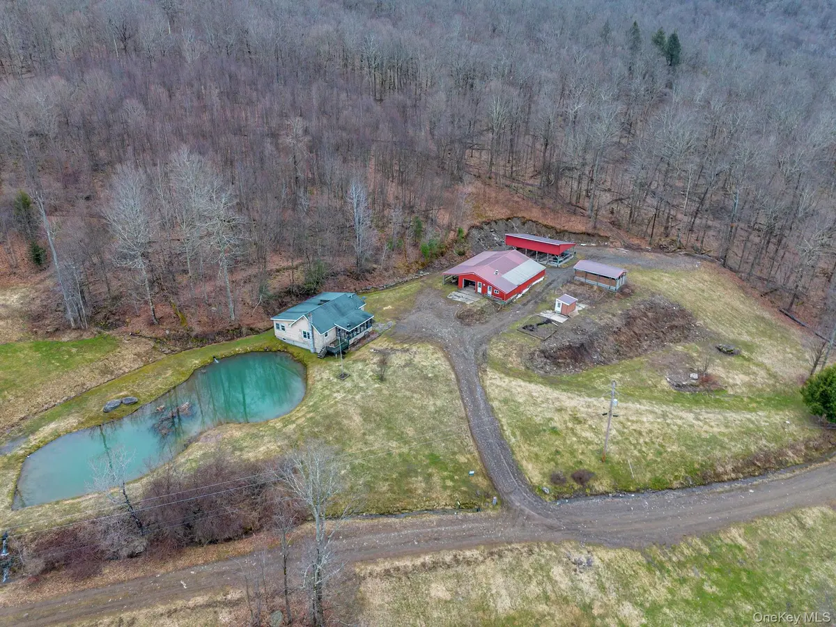 540 Lewis RD, Walton, NY 13856