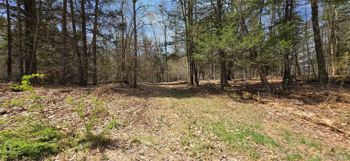 Lot 12 Tyler RD, Cochecton, NY 12726