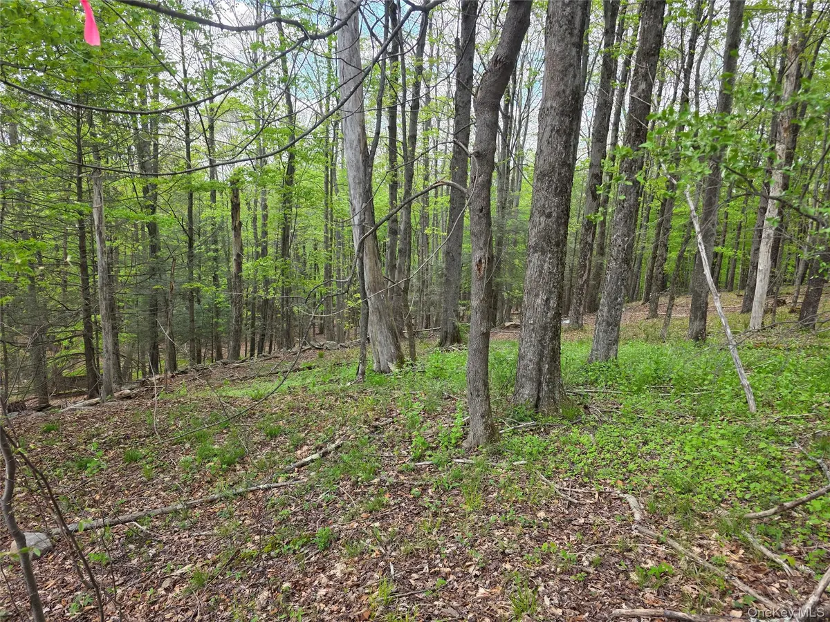 Wade RD, Fallsburg, NY 12733