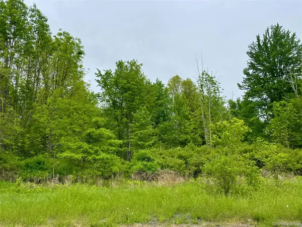 Orchard DR, Plattekill, NY 12568