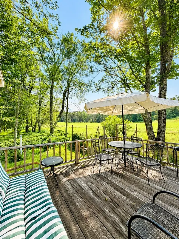 00 Gold Dan RD #52, Swan Lake, NY 12783