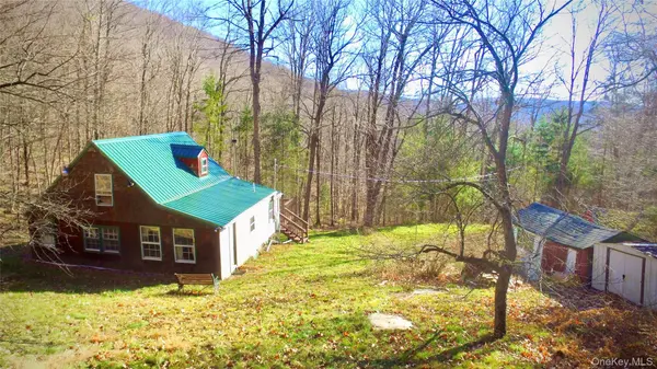 339 Mountain Lake RD, Andes, NY 13731