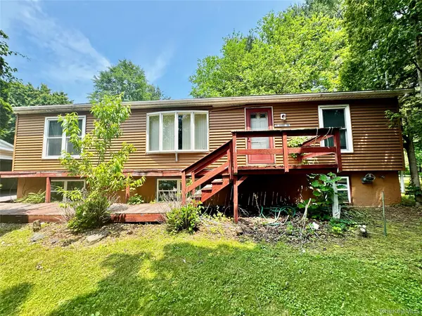 20 Shore DR, Elizaville, NY 12523