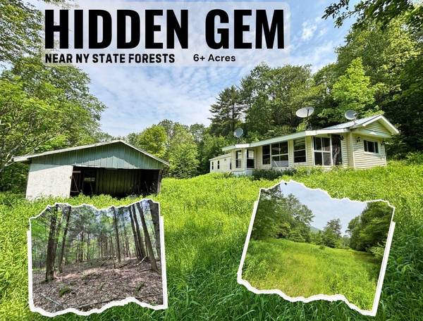16 Indian Summer RD, Deposit, NY 13754