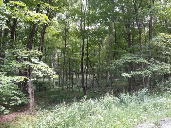 1407 Eminence RD, East Branch, NY 13756