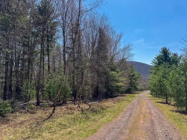 116 Sugar Loaf TRL, Jewett, NY 12424