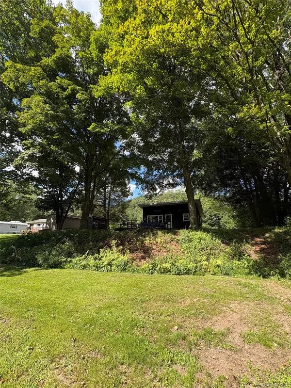 205 Long Flats RD, East Branch, NY 13756