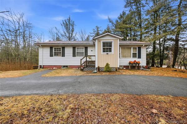 35 Quiat RD, Mountain Dale, NY 12763