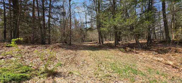 Lot 12 Tyler RD, Cochecton, NY 12726