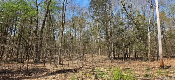 Lot 13 Tyler RD, Cochecton, NY 12726