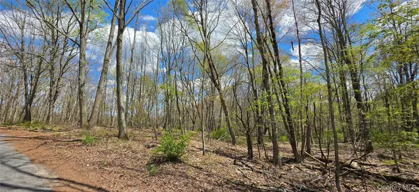 Lot 17.14 Skipperene RD, Cochecton, NY 12726