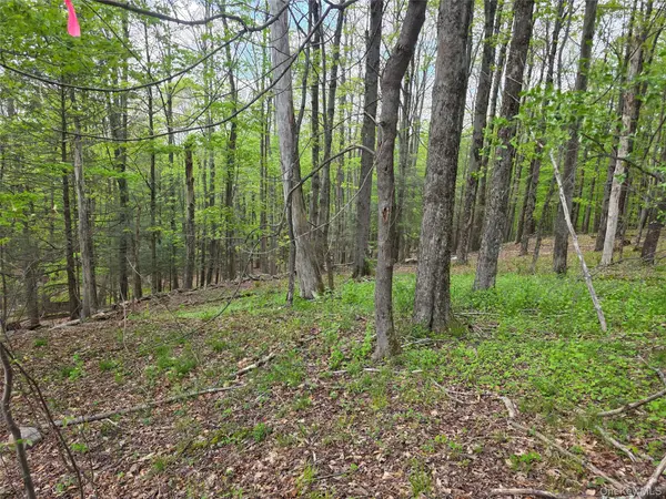Wade RD,  Fallsburg,  NY 12733