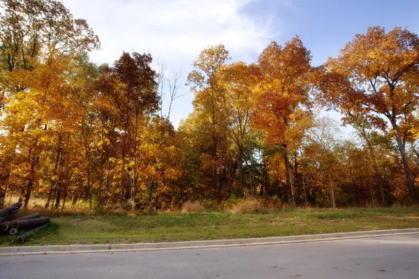 3975-lot 88 166th LN, Lowell, IN 46356