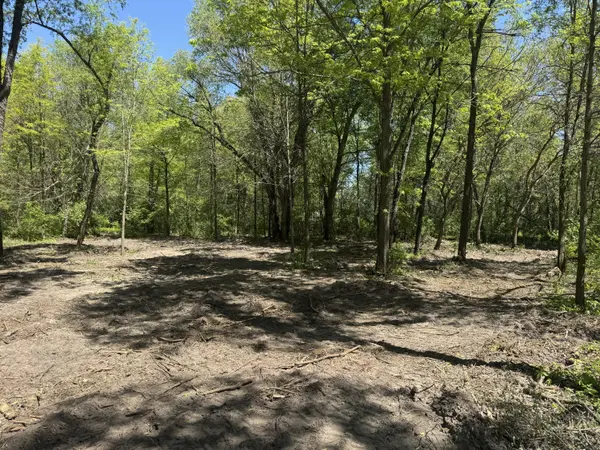 Tbd Us-41, Lake Village, IN 46349