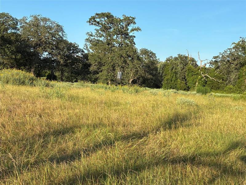 2933 County Road 457, Thorndale, TX 76577