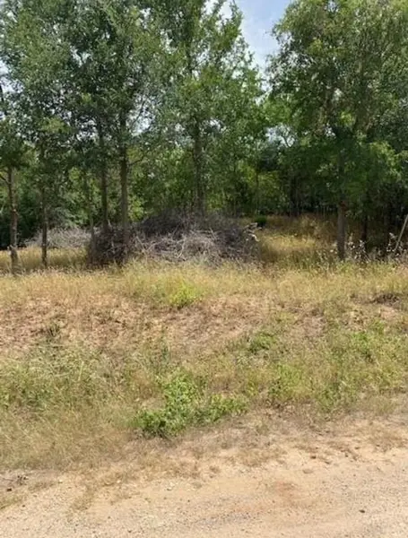 108 W Kikipua LN, Bastrop, TX 78602
