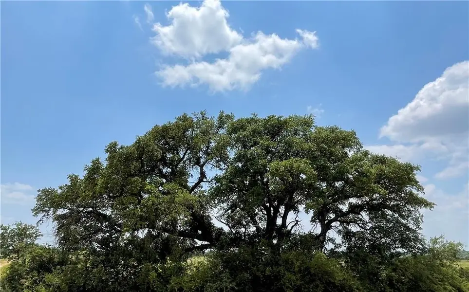 0 377 S. HWY, Brownwood, TX 76827