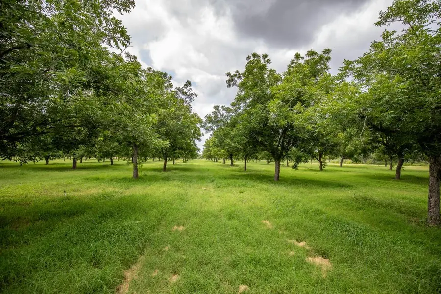 2432 County Road 402, Falfurrias, TX 78355