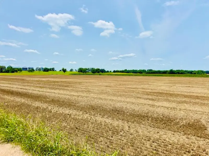 TBD1 FM 406, Buckholts, TX 76518