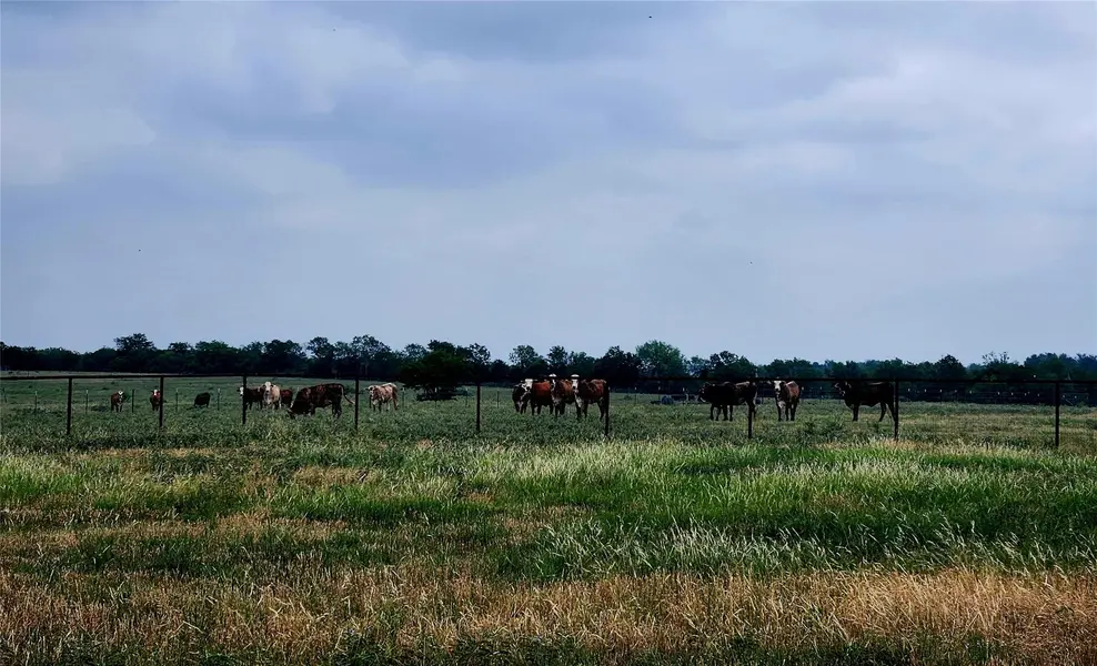TBD County Road 446, Waelder, TX 78959
