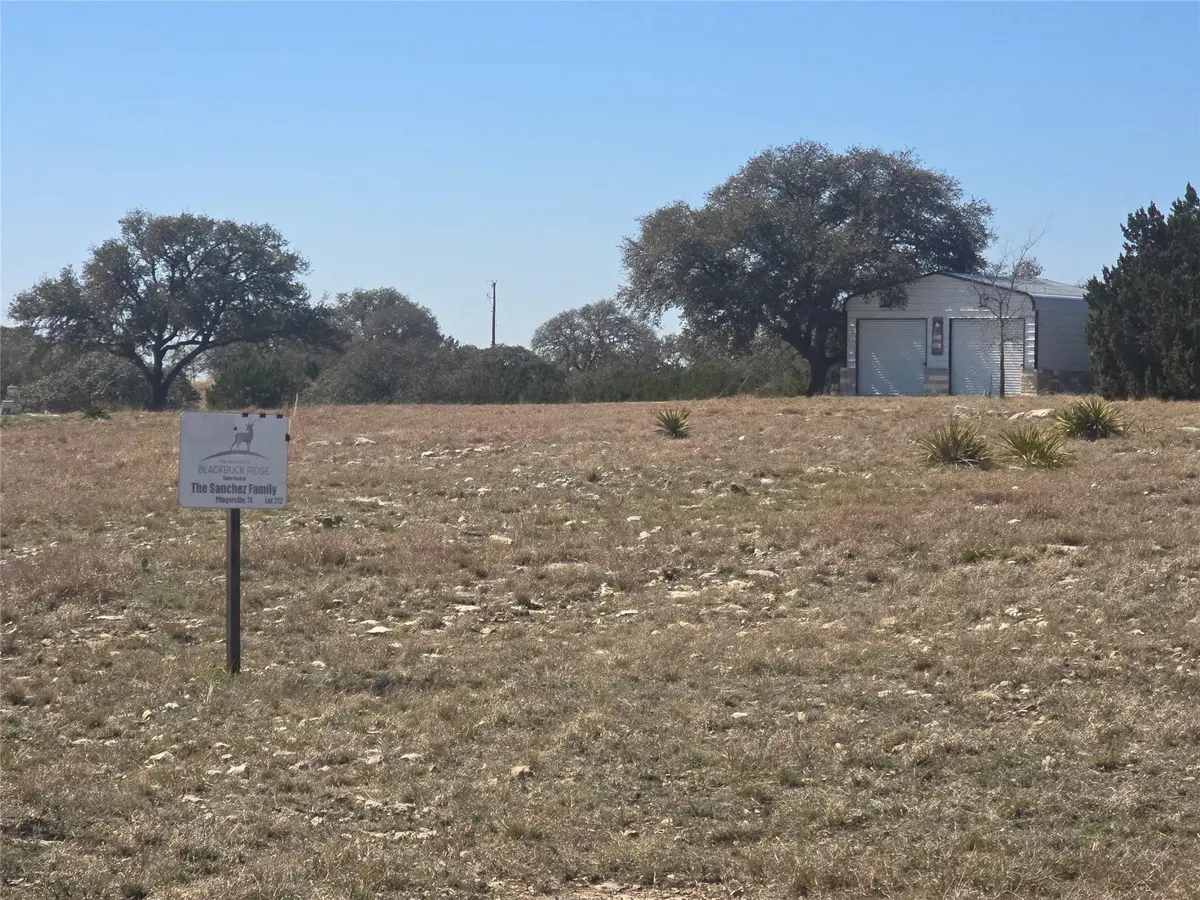 230 Bush Bok DR, Burnet, TX 78611