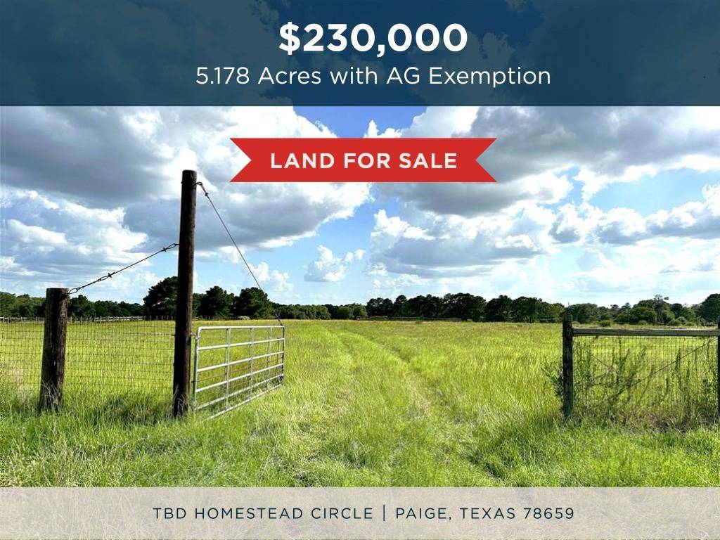 TBD Homestead CIR, Paige, TX 78659