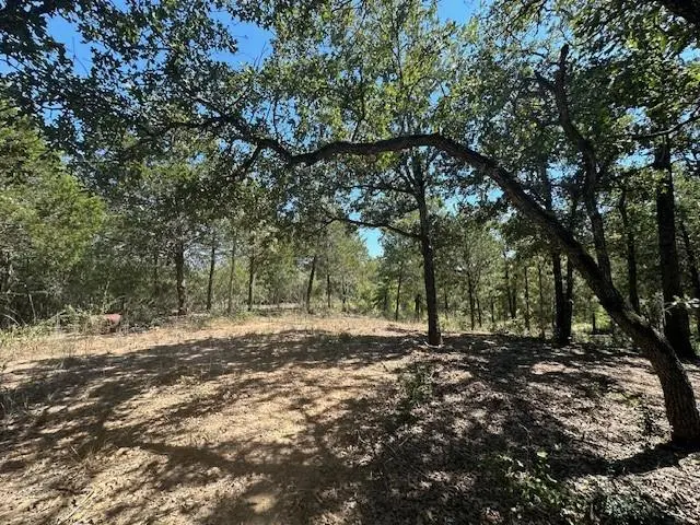 0 TBD lot 103 Ripple Brook DR, Bastrop, TX 78602