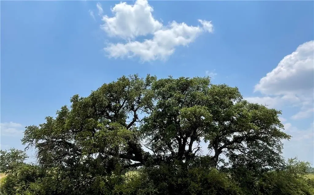 0 377 S. HWY, Brownwood, TX 76827