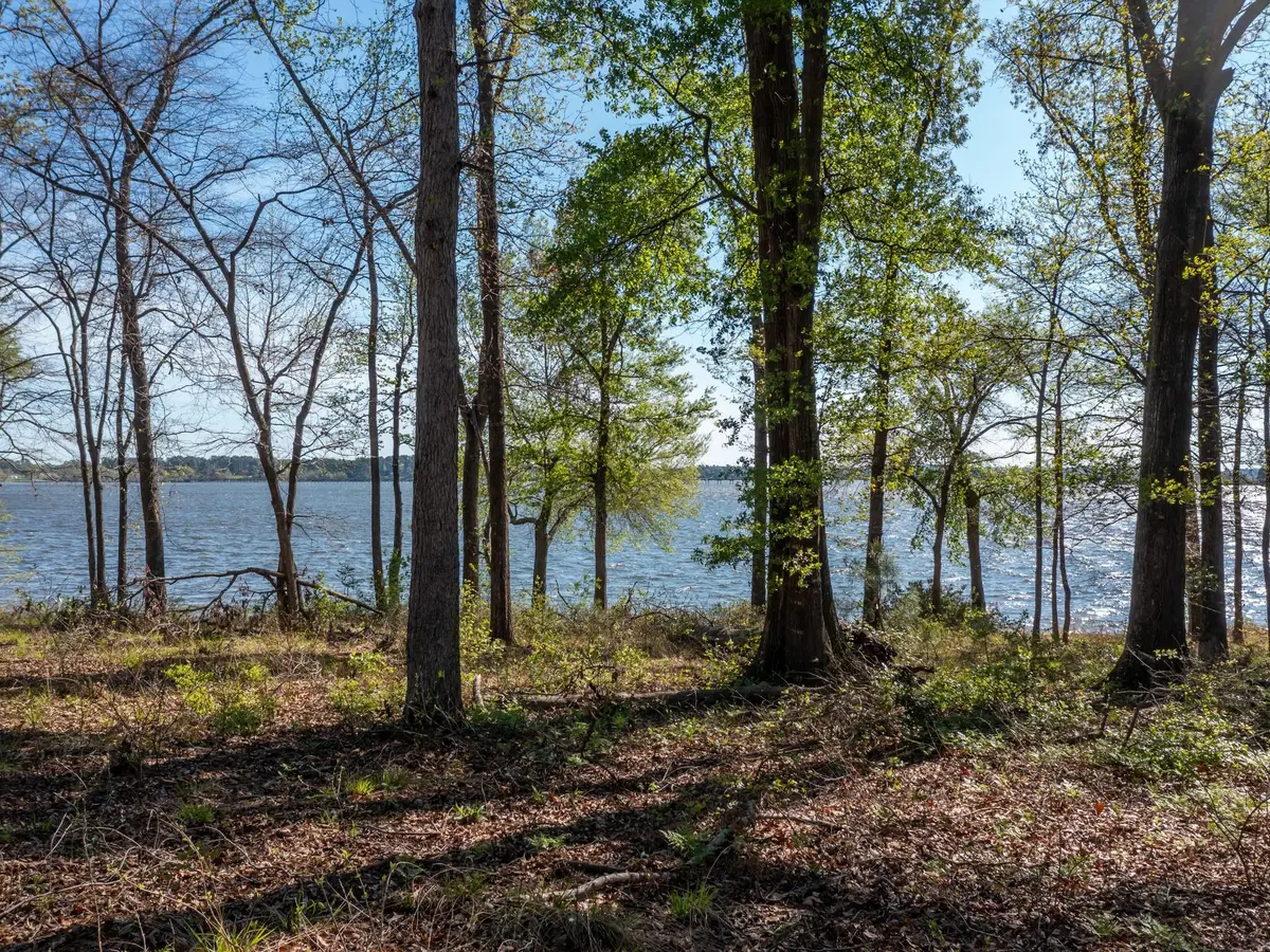 3108 Shadow Pine DR, Larue, TX 75770
