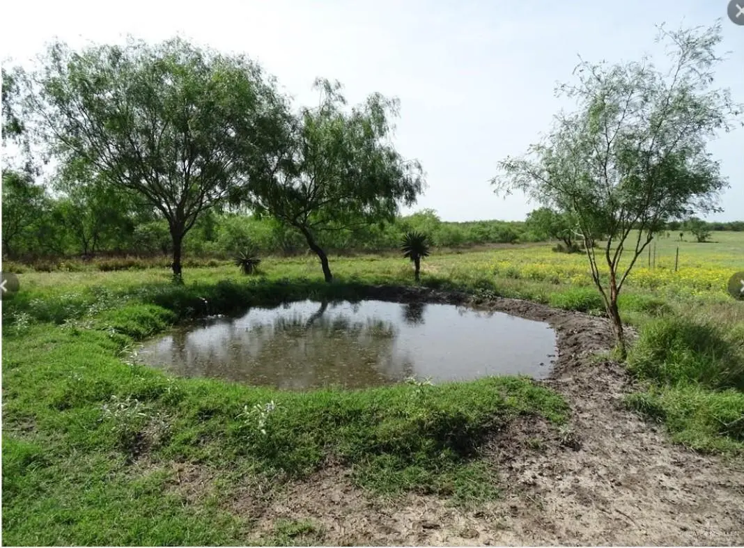 FM 2294 FM 2294, San Isidro, TX 78588