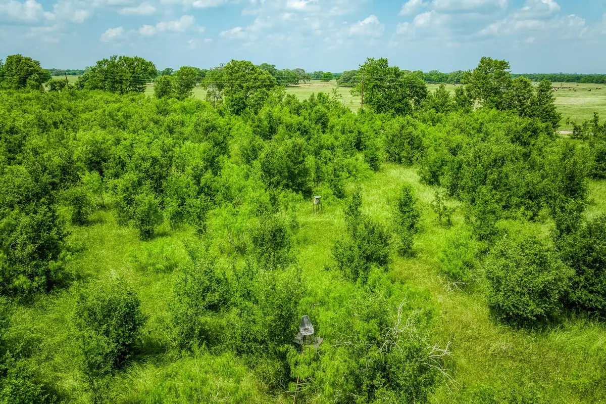 10396 County Road 276 LAND, Somerville, TX 77879