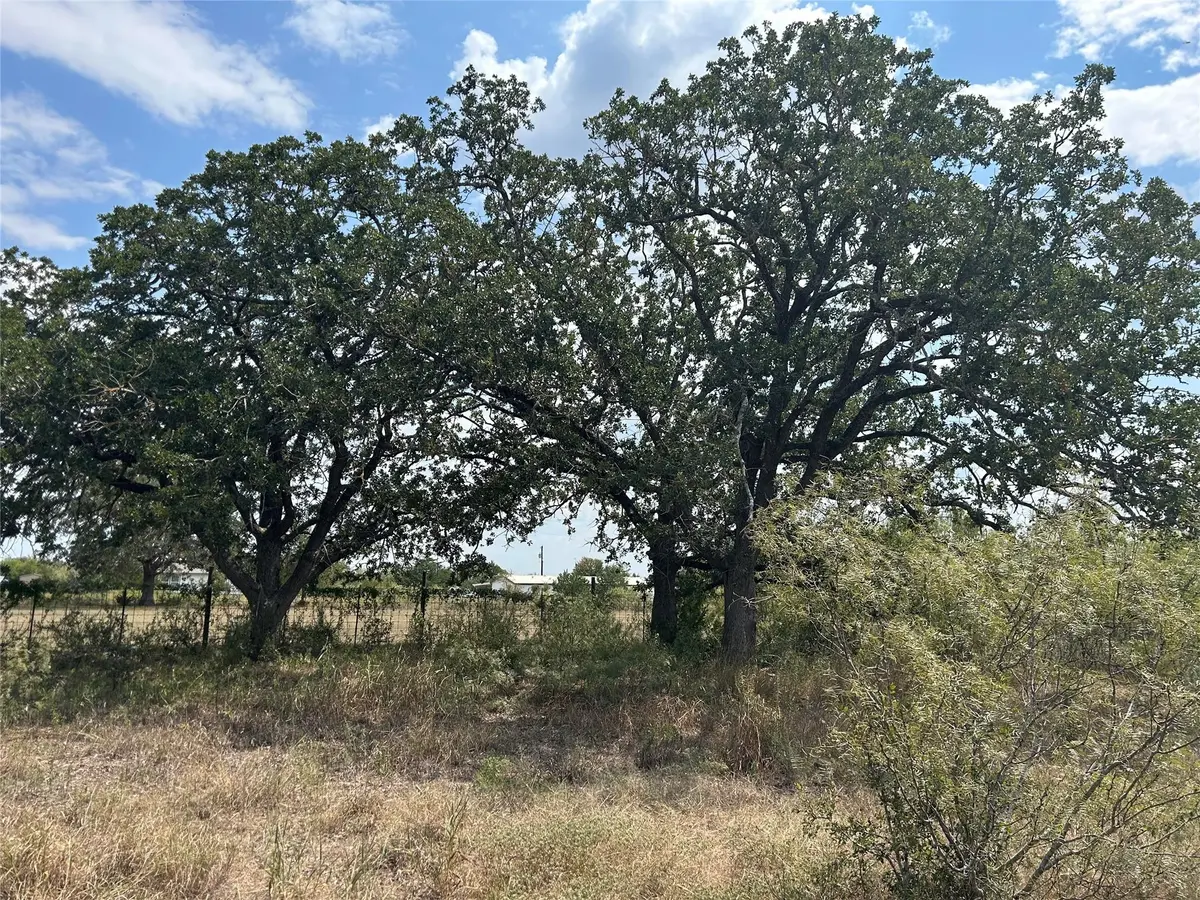 303 Walter Hoffman RD, Cedar Creek, TX 78612