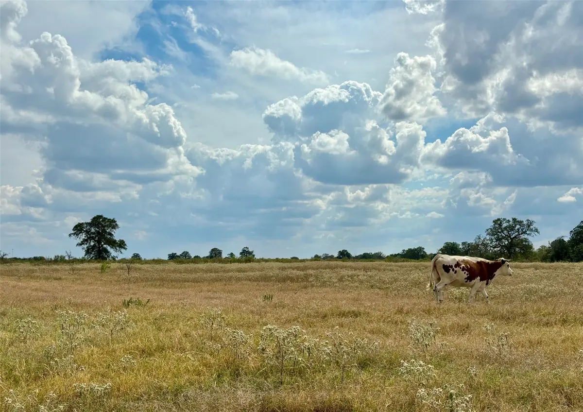 3 Big Sky Ranch RD, Smithville, TX 78957